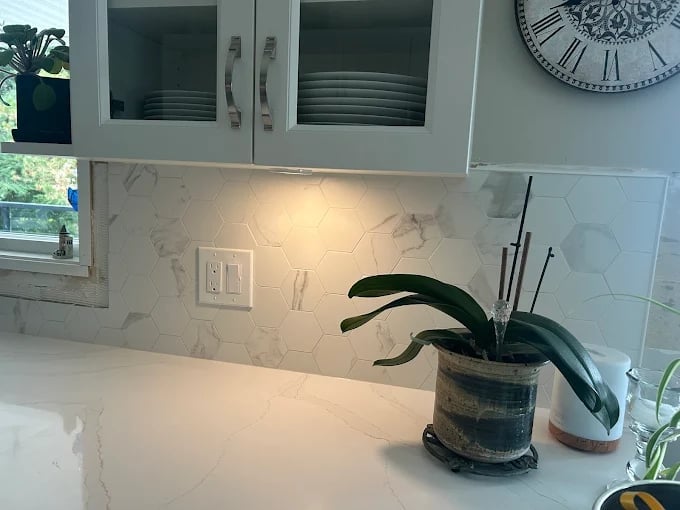 Modern kitchen counter with marble backsplash, potted plant with dark green leaves, and white cabinets with glass doors above